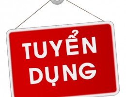 tuyển dụng giám đốc điều hành 