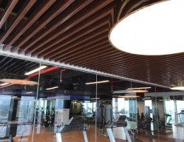 TƯ VẤN PHONG THỦY CĂN HỘ CHO CẶP VỢ CHỒNG MỚI CƯỚI