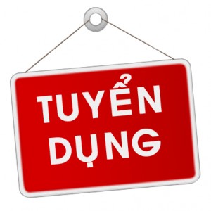 tuyển dụng giám đốc điều hành 