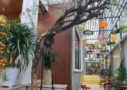 Tấm ốp tường E Shaped